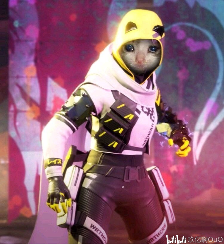 Ninjas in Pyjamas 官方：中路选手 rookie 离队